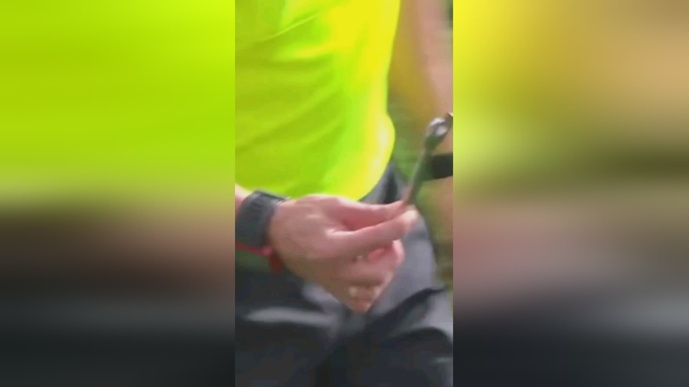 和执行