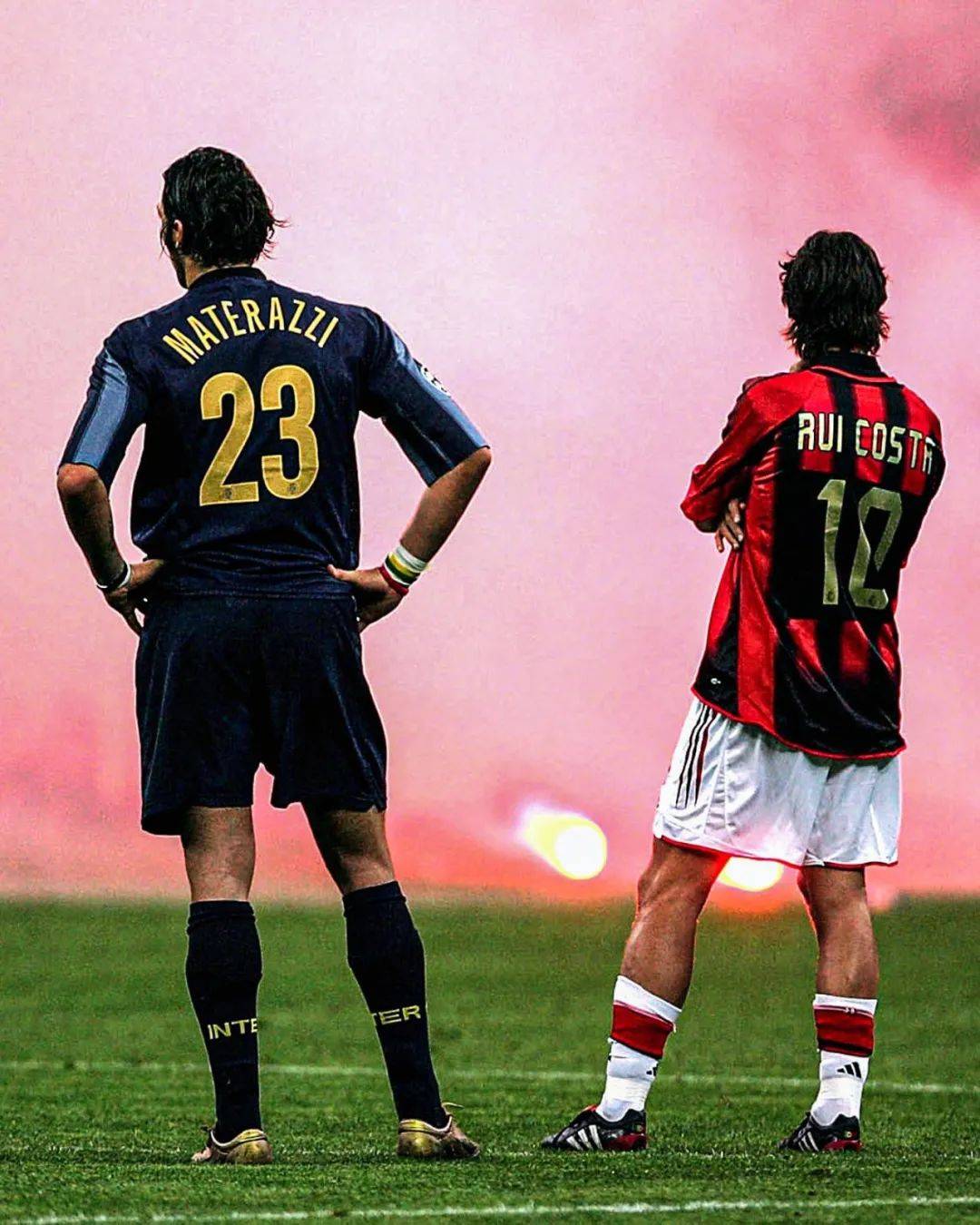 的联盟中 的联盟中